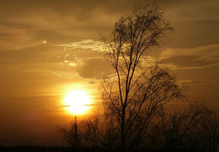 Учёные продолжают наблюдение