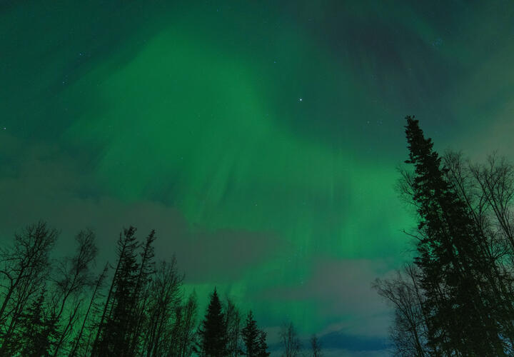 Гороскоп на 25 апреля 2026 года для всех знаков зодиака