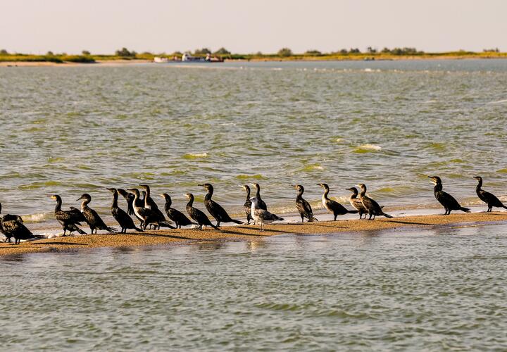 Азовское море