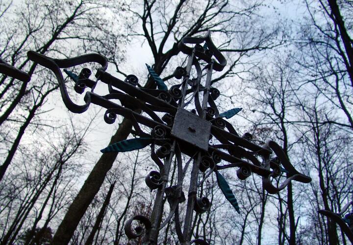 Возбуждено уголовное дело