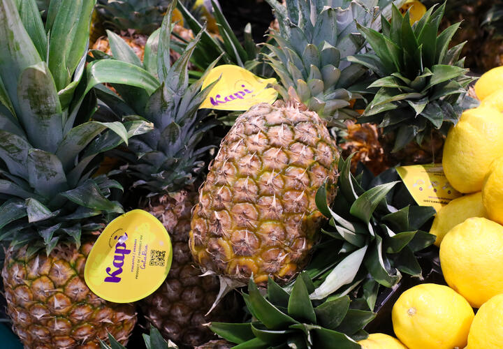 Турнепс да пастернак: какие овощи, фрукты и зелень обязательно нужно есть в марте