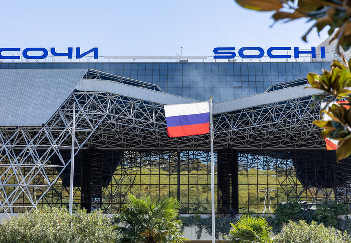 В аэропорту Сочи посадили гималайский кедр. Как он связан с Юрием Гагариным?