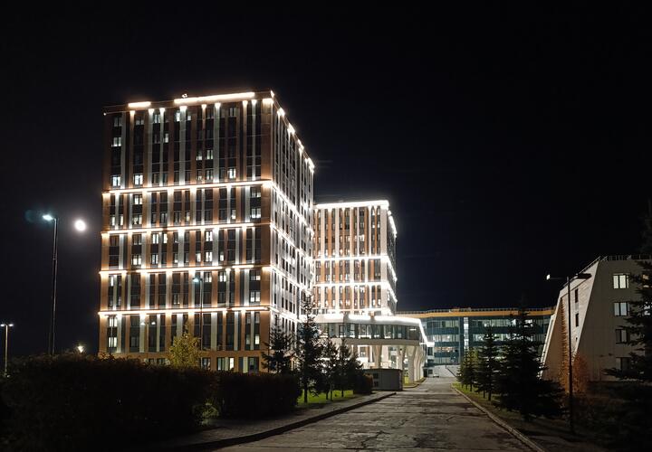 Пока вы спали