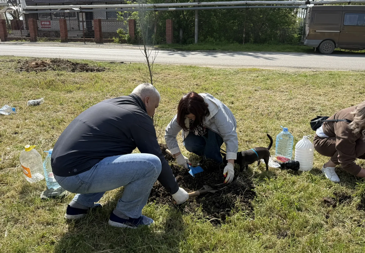 В Краснодаре заложили Аллею памяти героев СВО. Высажено больше 40 деревьев