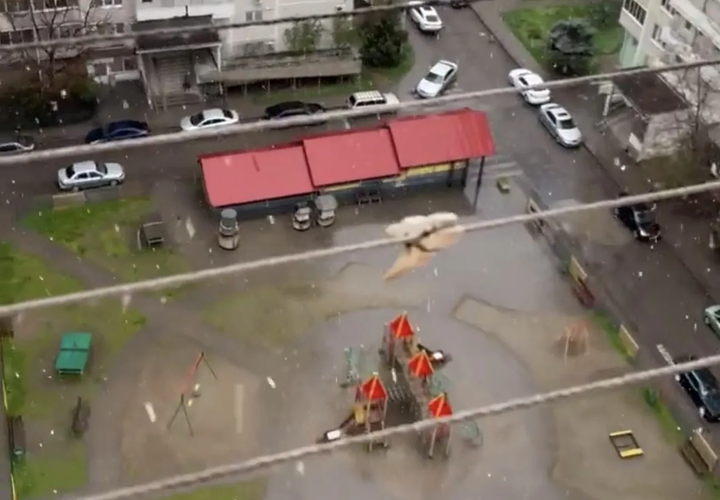 В Краснодаре зима: люди снимают на видео снег