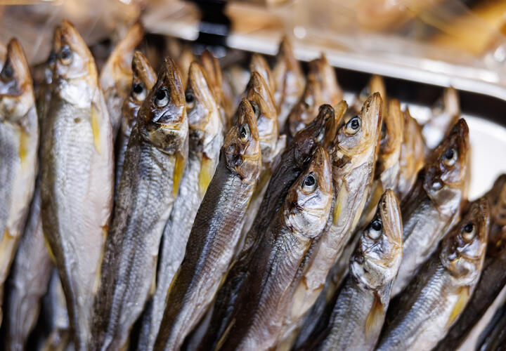 В Новороссийске сотрудники полиции нагрянули в магазин и забрали 700 кг рыбы