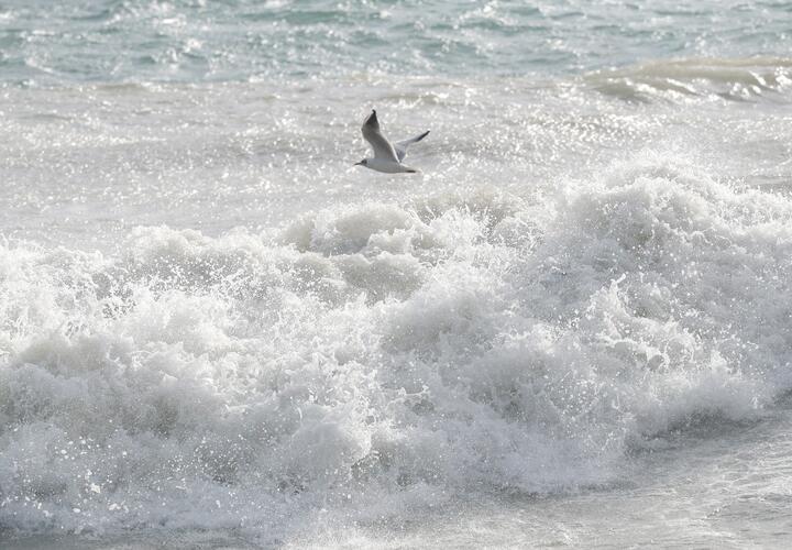 Штормовое море