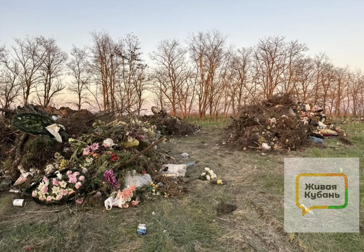 Люди обзванивают инстанции с просьбами убрать свалку и наказать виновных