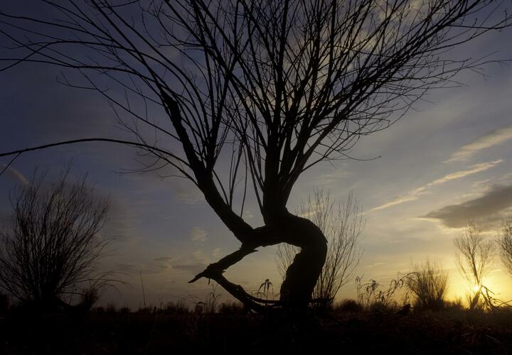 Видели живой: девочку, которая признана погибшей в результате атаки на Туапсе, продолжают искать
