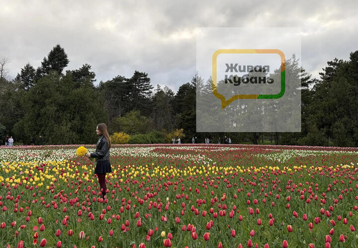 Прогулка по цветущему парку. Фоторепортаж