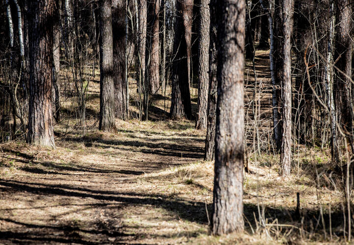 Задушили, а потом по очереди ударили головой о землю: жестокое убийство годовалого дитя раскрыто на Кубани 18+