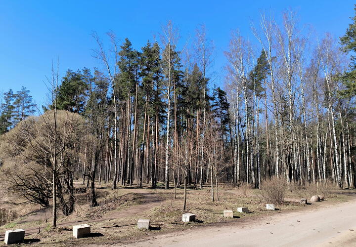 Путь в Бразилию оборвался в Брянской области: в результате атаки украинского дрона погиб путешественник Саша Конь