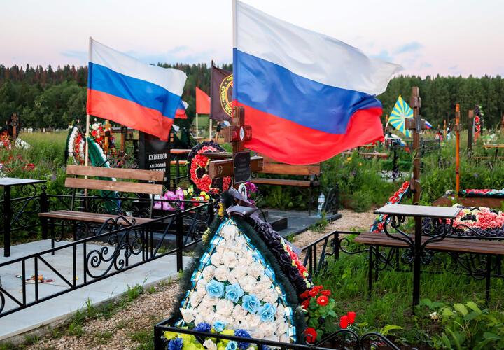 В Краснодаре мать бойца не успела оплакать сына, погибшего на СВО, как потеряла и выплату за его смерть, доверившись мошенникам 