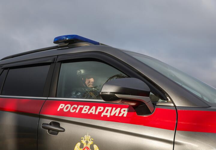 В Краснодаре пьяные родственники устроили разборки в приёмном покое больницы 