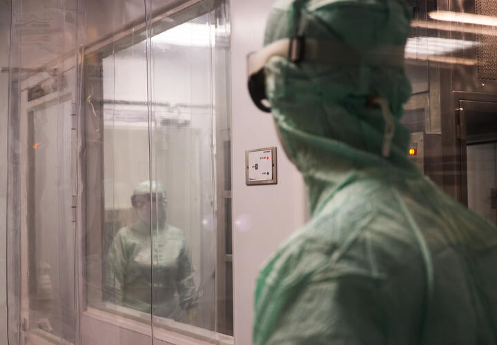 Вирусологи назвали переносчика хантавируса. Встречается ли он на территориях России?