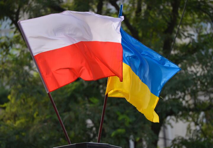 Четверо членов партии Польши отказались от своих украинских орденов 