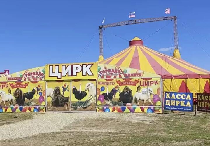 На Кубани пьяный мужчина «заминировал» цирк, обидевшись на охрану 