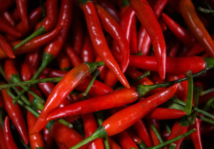 Острая еда поможет продлить жизнь, заявили учёные 