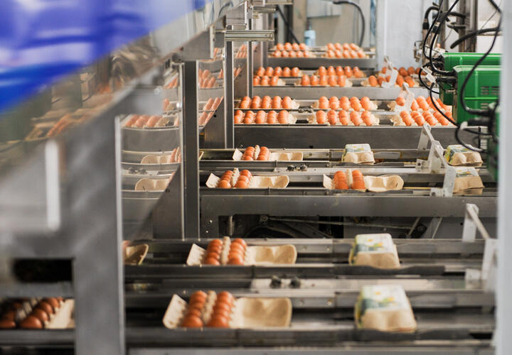 За два месяца предприятия региона выпустили более 200 миллионов штук продукции