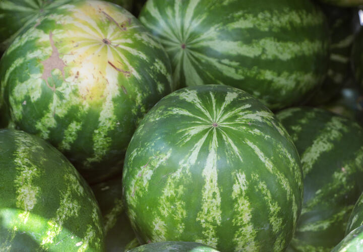 Нутрициолог перечислила пять продуктов