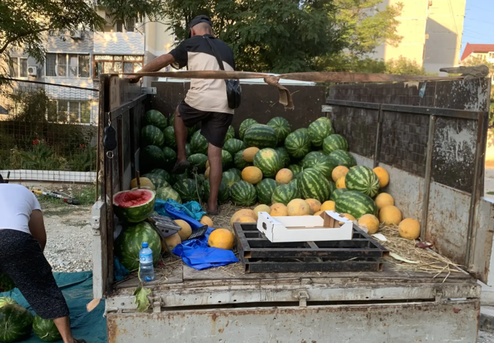 Арбузы на Кубани вот-вот очень сильно подешевеют: аналитики дали прогноз 