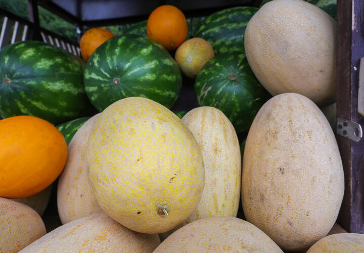 Врач рассказала о разнице в составе продуктов