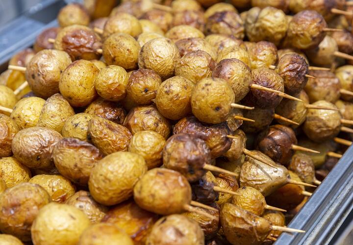 На Кубани пройдёт фестиваль «Картопля цэ нэ цыбуля» 