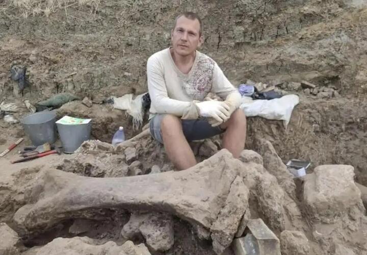 На территории Кубани когда-то водились слоны. В Темрюкском районе нашли останки шести древних животных. Есть еще интересные находки 