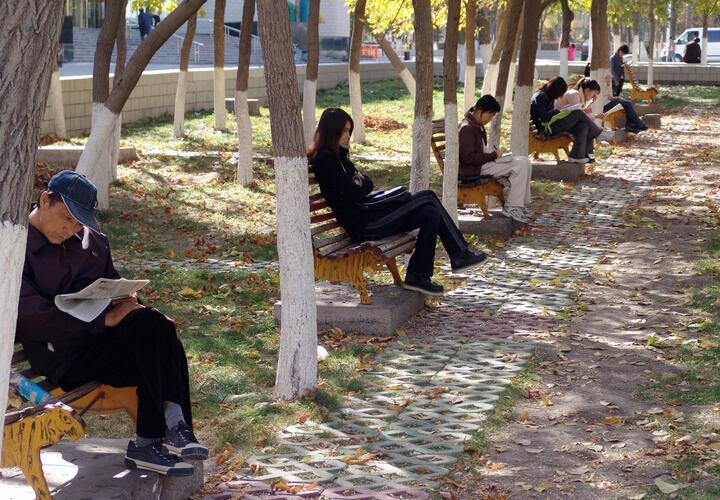 Рейтинг наиболее популярных материалов «Живой Кубани» за сегодня