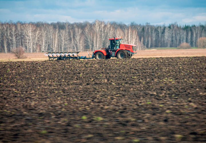 Во время последней проверки инспекторы обнаружили семь липовых деклараций