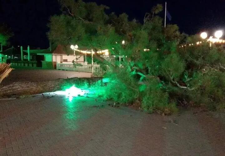 Власти устраняют последствия
