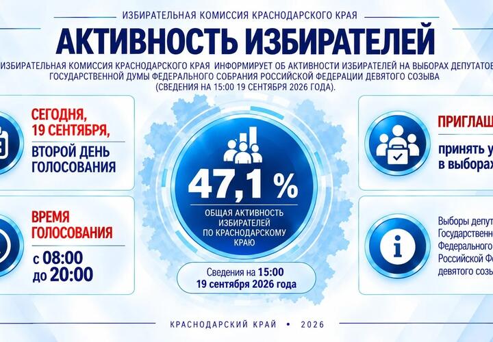 Краевая избирательная комиссия рассказала об активности жителей
