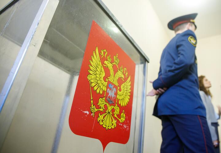 На Кубани за выборами следят круглосуточно. Видеостена, юристы, волонтёры и горячая линия — как устроен общественный контроль в регионе 