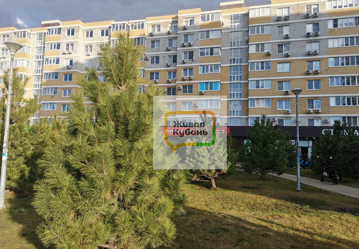 Сюда едут тысячи людей в поисках тепла, а уезжают — кто-то с разочарованием, а кто-то с любовью.
