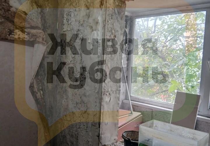 Местные власти бездействуют, и никто не решает проблемы с плесенью, сыростью и гнилью 