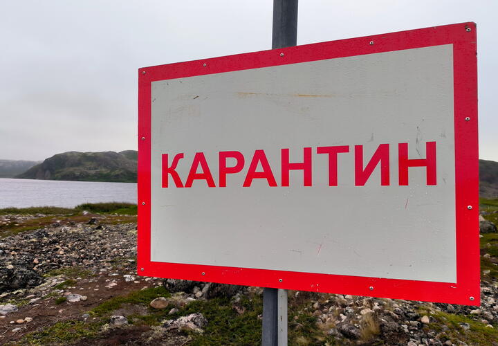 Опасный очаг обнаружили в Усть-Лабинском районе