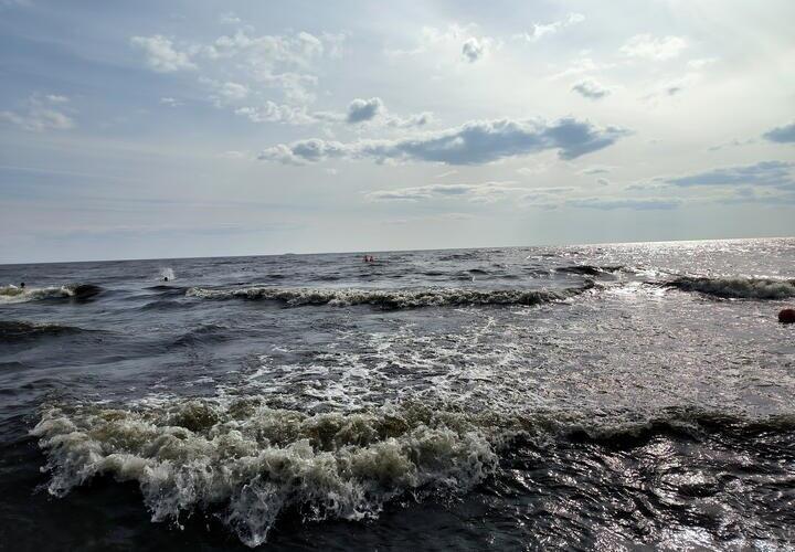 Вода в Азовском море стремительно меняется. Побит 150-летний рекорд по осолонению: учёные рассказали, чем это грозит 