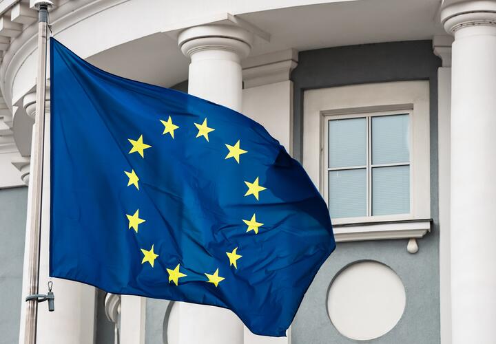 Европа забирает детей у украинских беженцев: под какими предлогами?