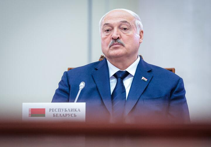 «Господь с ними, пусть отгораживаются»: Лукашенко поблагодарил Запад за возведение заборов на границе с Белоруссией 
