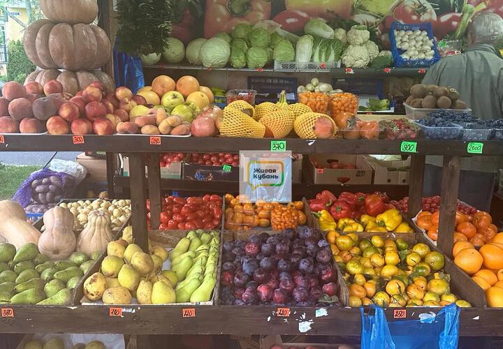 Каштаны, рябина и королёк – что продаётся на прилавках в городах Черноморского побережья Краснодарского каря. И сколько это всё стоит 