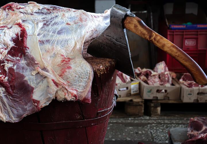 Мясо из ниоткуда: на юге России нашли фирмы-призраки, снабжавшие продуктами школы и больницы 
