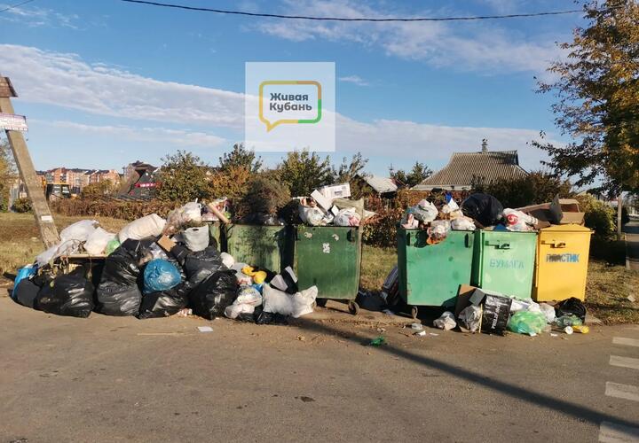 «Улыбнись чистому городу»: Краснодар тонет в мусоре. Когда кубанская столица станет чистой? 