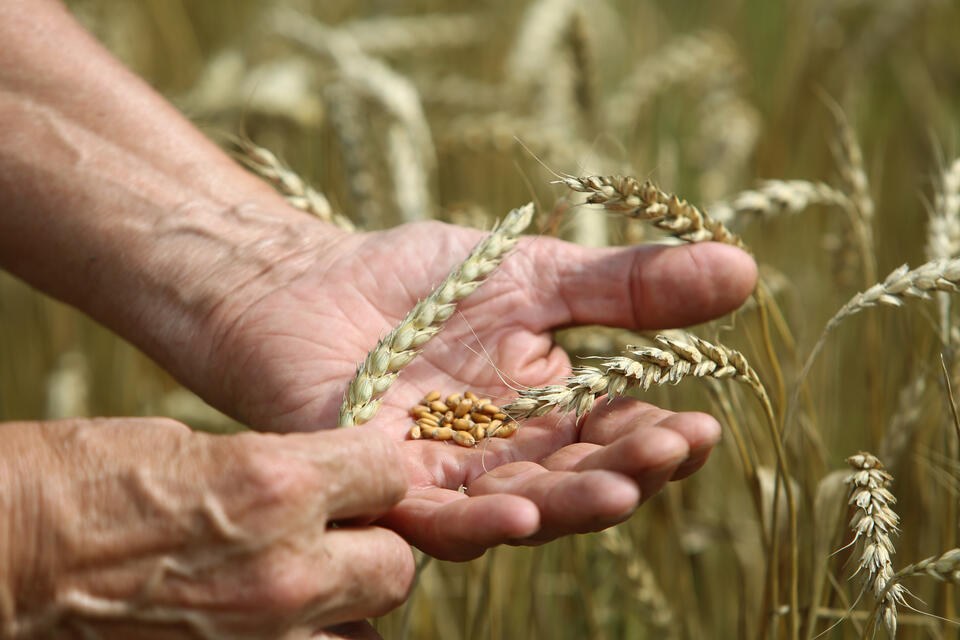 В Сети регулярно появляются ролики о взрывах и пожарах из-за гаджетов