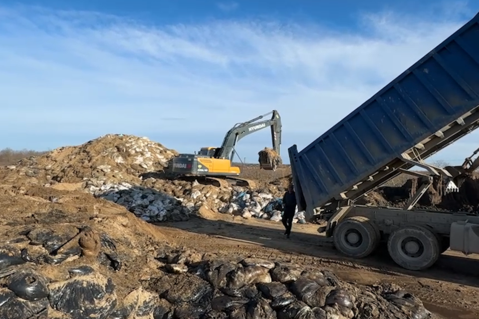 600 сотрудников ОТЭКО участвовали в ликвидации ЧС в Черном море. Севший на мель в районе мыса Панагия танкер «Волгонефть-239» дал течь, и тысячи тонн мазута могли оказаться в Чёрном море. Что было дальше, все известно — в сотрудничестве с оперштабом специалисты ОТЭКО в рекордно короткий срок построили дорогу к судну, окружили его защитным валом, помогли МЧС и Морспасслужбе наладить откачку мазута с перегрузкой его на вывоз железнодорожными цистернами и полувагонами.  - А сейчас наши пожарные обеспечивают бе