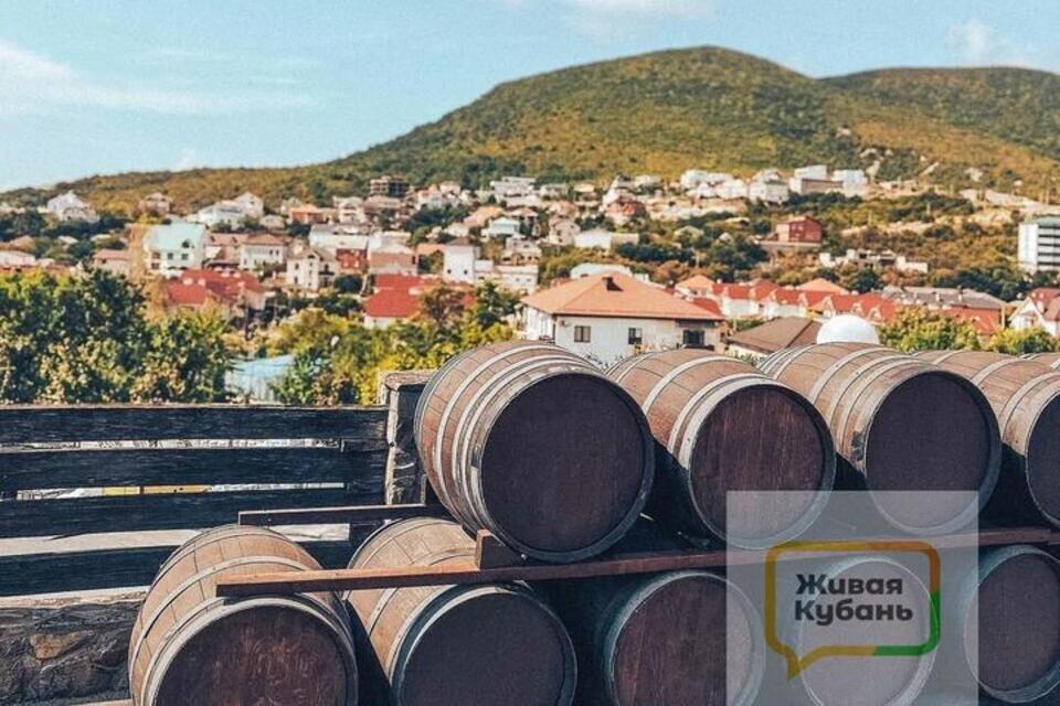 Всё больше путешественников стремятся на Кубань, чтобы отведать местных вин и блюд