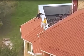 В Анапе подростки устроили тусовку на крыше (ВИДЕО)