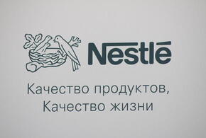 Нестле кубань. Нестле качество продуктов качество жизни. Нестле Кубань продукция. Логотип Nestle качество жизни. Nestle слоган.