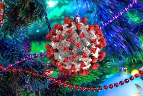 Короновирус омрачает рождественские праздники