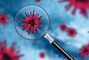 В Краснодарском крае выявили мутировавший коронавирус
