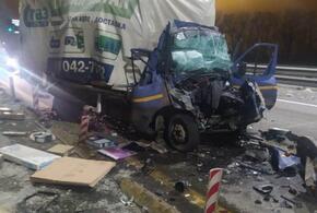 На Кубани в аварии погиб водитель ГАЗели